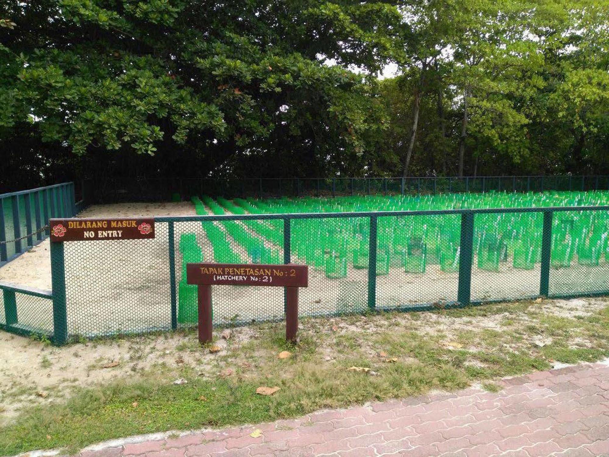 Selingan Turtle Island Hotel Sandakan Bagian luar foto